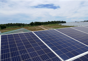 Trạm bơm nước điện mặt trời ở trang trại trồng rau sạch Quảng Ngãi